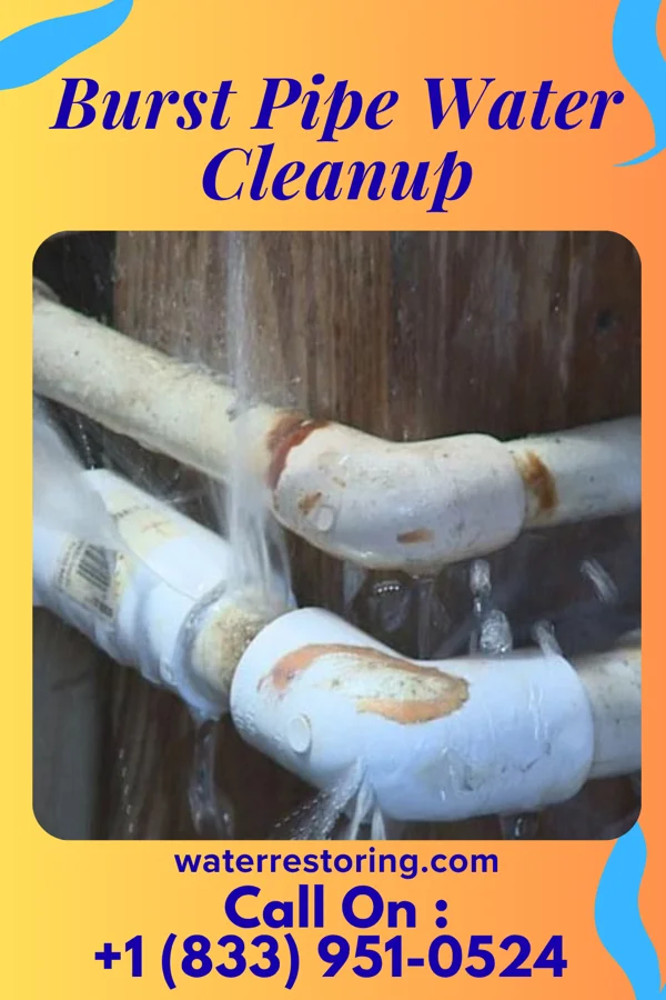 Burst Pipe Water Cleanup in West College Corner, IN