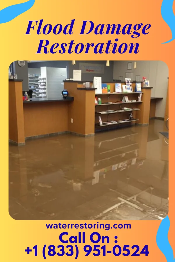 Flood Damage Restoration in West College Corner, IN