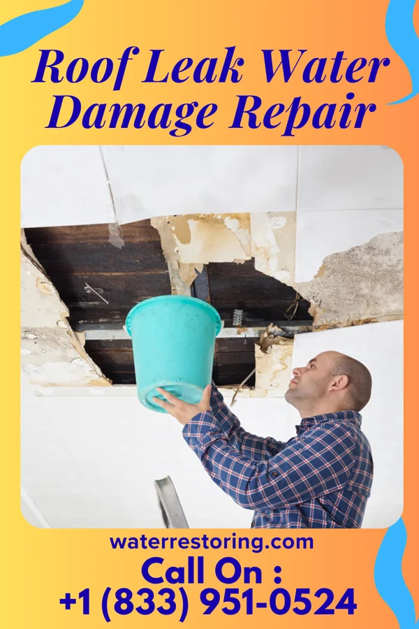 Roof Leak Water Damage Repair in West College Corner, IN