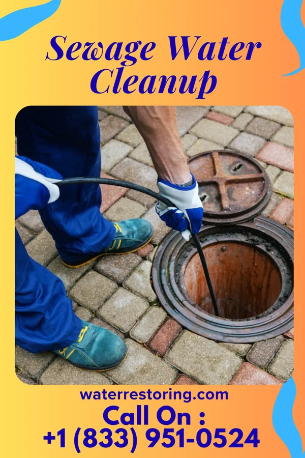 Sewage Water Cleanup in West College Corner, IN